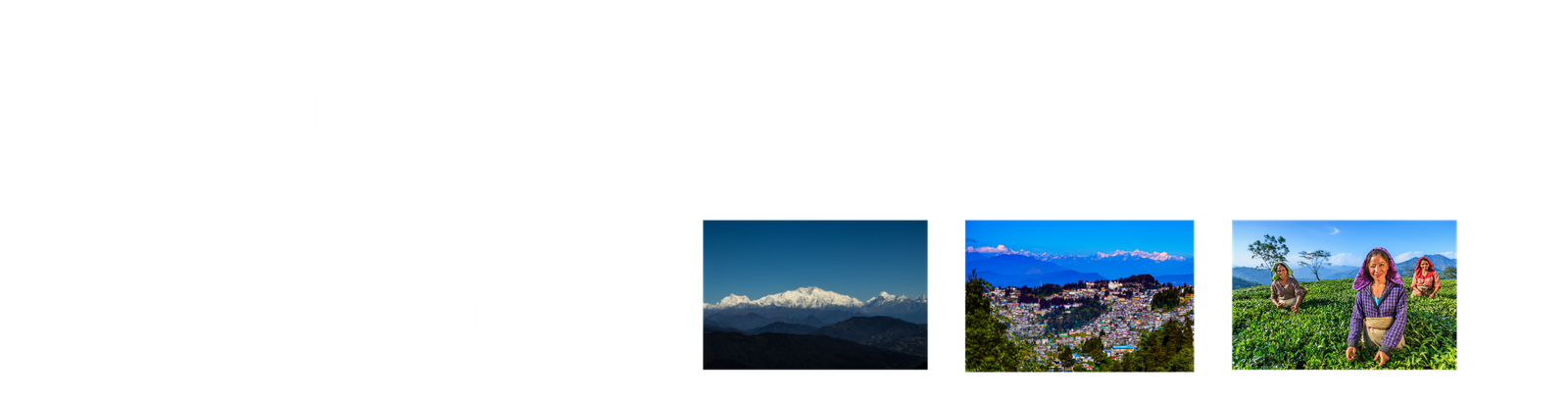 Amazing Darjeeling